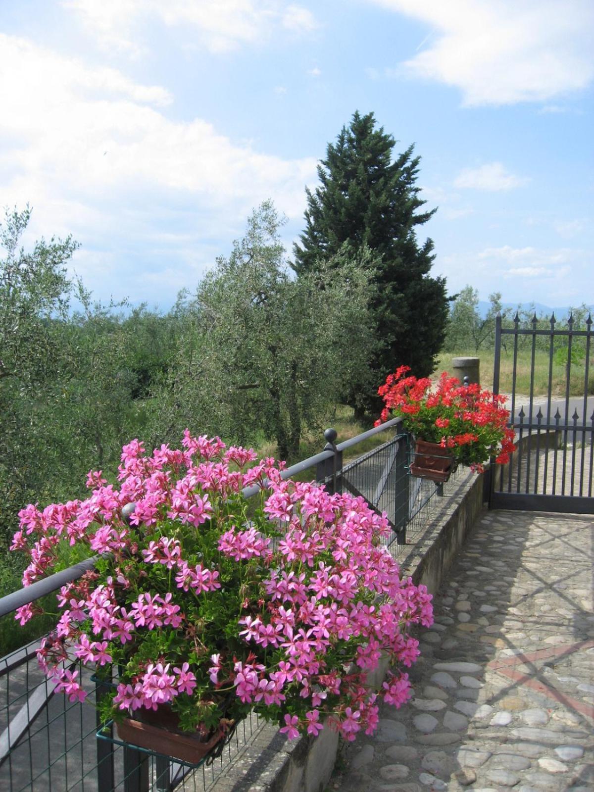 Agriturismo Villani Poderi Nesti & Cupoli Lastra a Signa Exterior photo