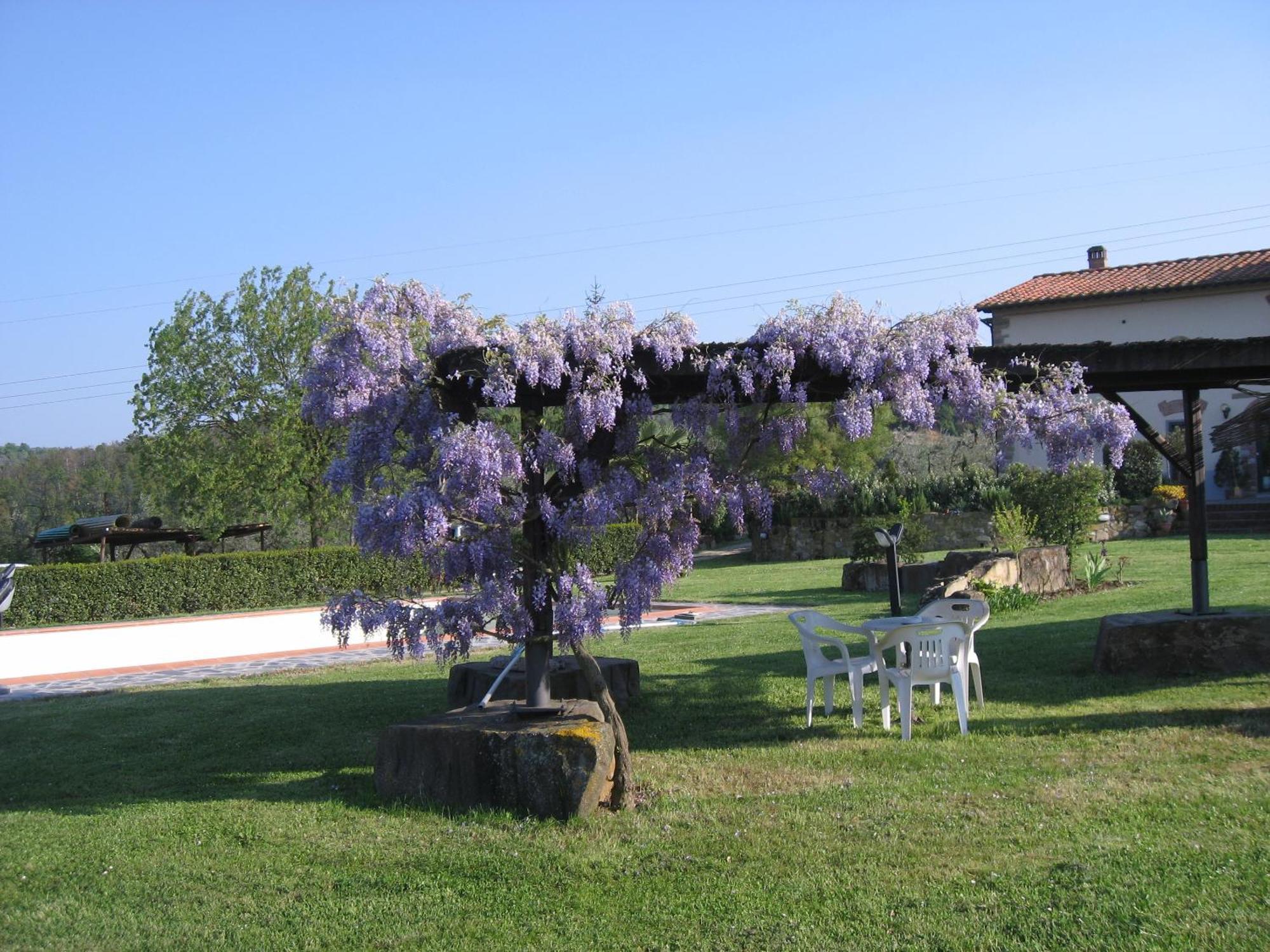 Agriturismo Villani Poderi Nesti & Cupoli Lastra a Signa Exterior photo