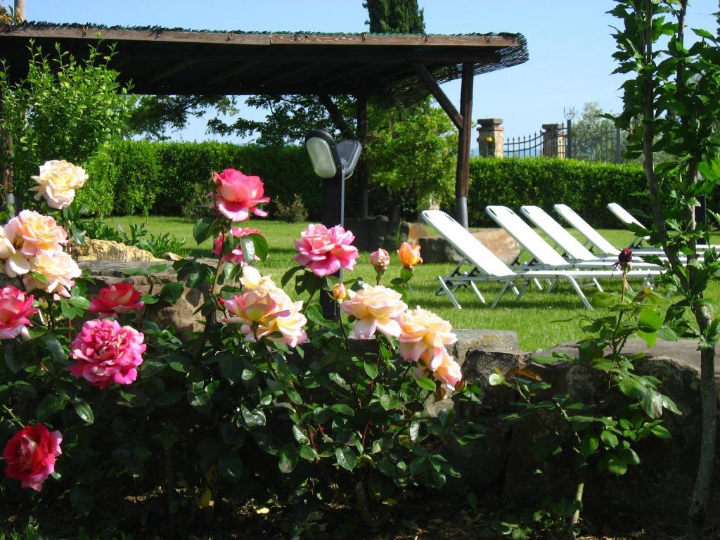 Agriturismo Villani Poderi Nesti & Cupoli Lastra a Signa Exterior photo